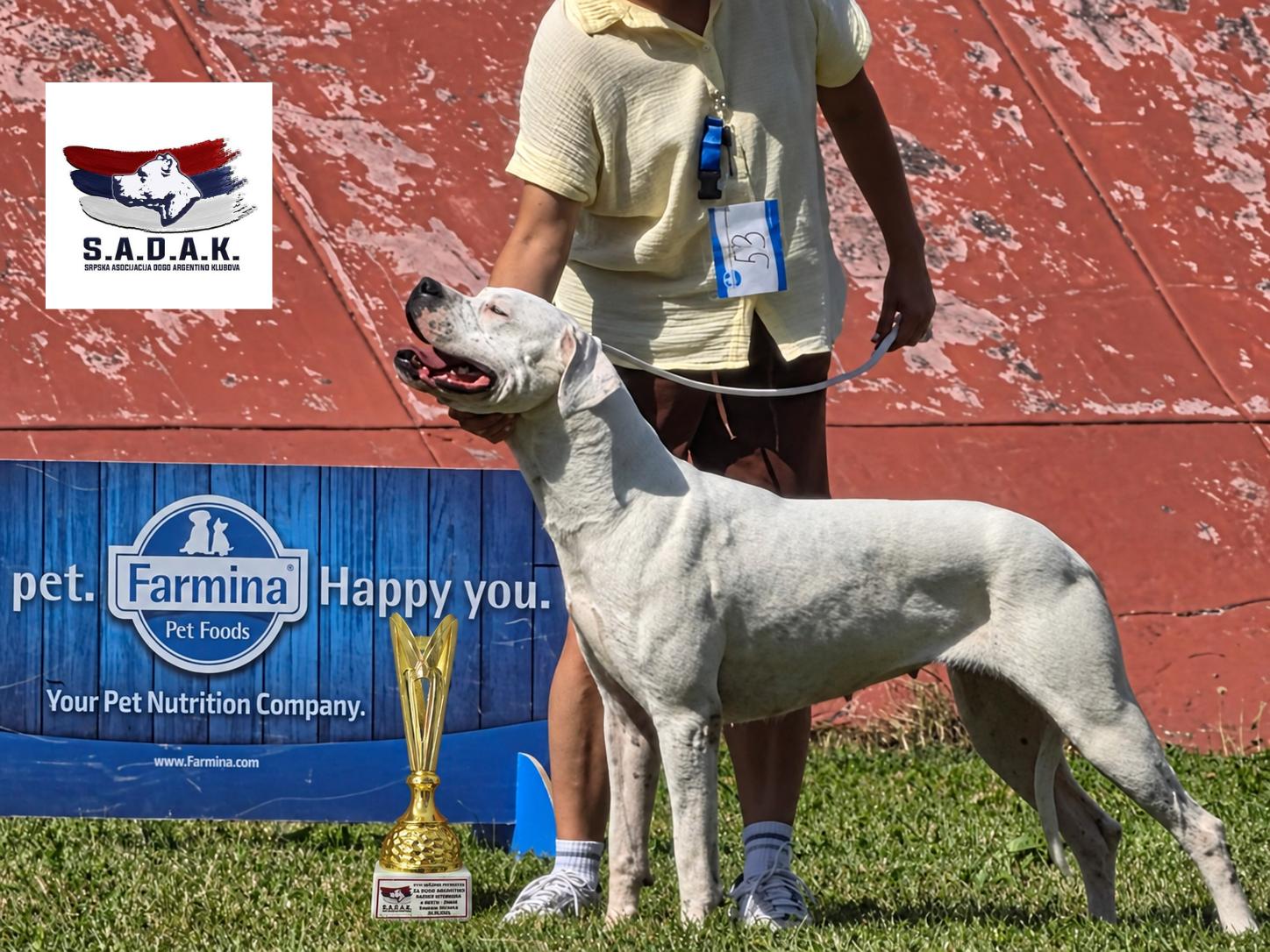 Dogo Argentino Savage Mountain - SADAK 2026